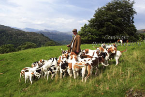 Cumbrian fell pack pictures by Betty Fold Gallery